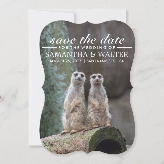 Modifizieren Sie diese lustigen Meerkatzen Save th The Date (Vorderseite)