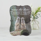 Modifizieren Sie diese lustigen Meerkatzen Save th The Date (Stehend Vorderseite)