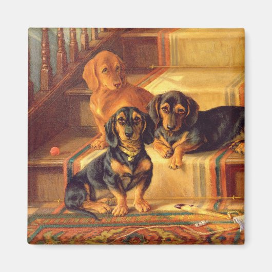 Modische Raffinitäten Magnet (Vorne)