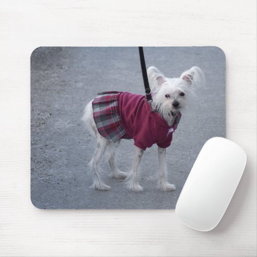 Modischer Powderpuff Mousepad (Mit Mouse)