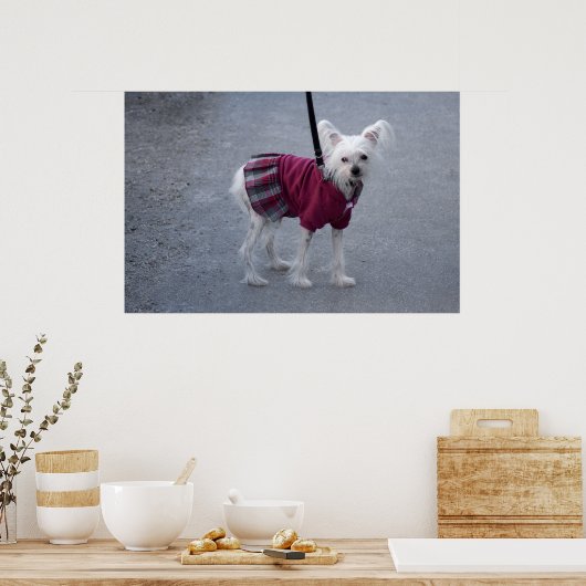 Modischer Powderpuff Poster (Küche)