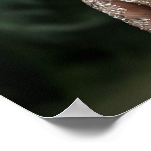 Modisches Kangaroo in Couture Outfit Poster (Ecke)