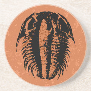 Modocia Typicalis Fossil Trilobit Untersetzer