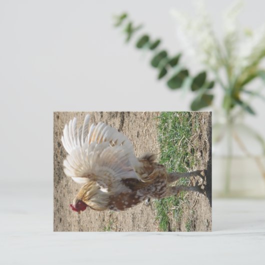 "Moe" Postkarte (Stehend Vorderseite)