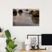 Moeraki Boulders on Beach Poster (Heimbüro)