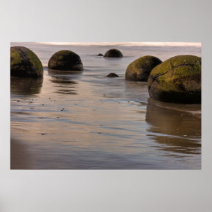 Moeraki-Brocken am Strand Poster