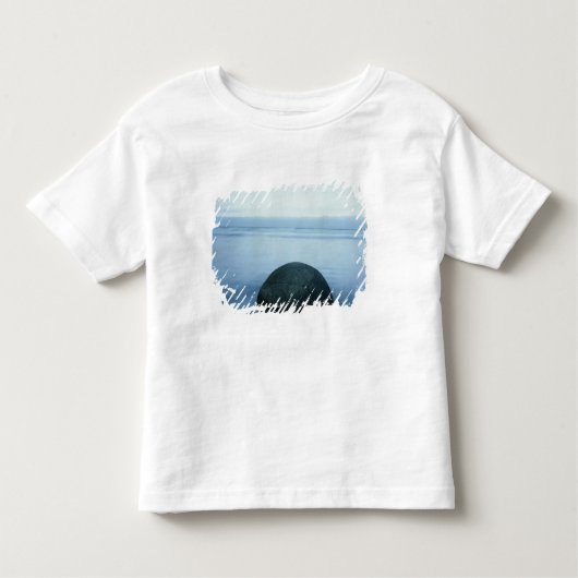 Moeraki Flusssteine Kleinkind T-shirt (Vorderseite)