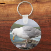 Moewe Schlüsselanhänger (Vorderseite)
