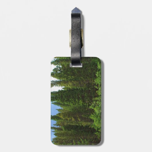 Moffat Road Pine Trees Colorado Gepäckanhänger (Rückseite vertikal)