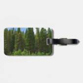 Moffat Road Pine Trees Colorado Gepäckanhänger (Rückseite horizontal)