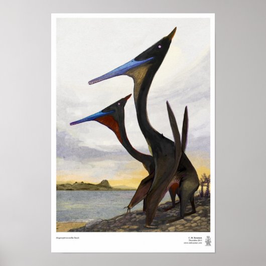 Moganopterus am Strand Poster (Vorne)