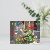 Möge dein Licht hell leuchten. Postkarte (Stehend Vorderseite)