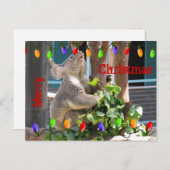 Möge dein Licht hell leuchten. Postkarte (Vorne/Hinten)