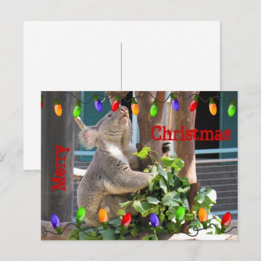 Möge dein Licht hell leuchten. Postkarte (Vorne/Hinten)