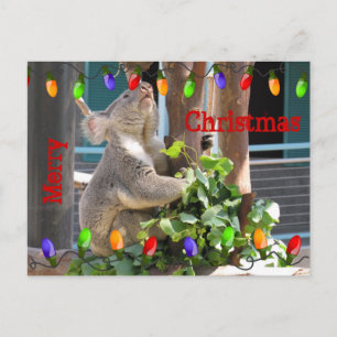 Möge dein Licht hell leuchten. Postkarte