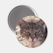 MOGGY MAGNET (Vorderseite/Rückseite)