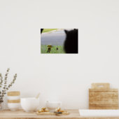 Mögliche Mittagspause - Katzen und Vögel Poster (Küche)