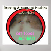 Möglicherweise der obskurseste Silent Hill 3-Verwe Poster (Vorne)