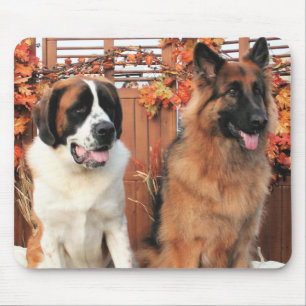 Möglichkeit LH-Schäfer Mae Bernhardiner Foto-3 Mousepad