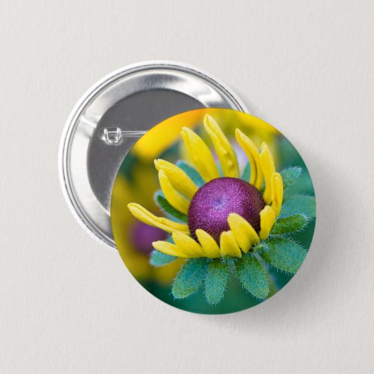 Möglichkeit smitten button (Vorne & Hinten)