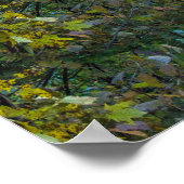 Mohican Gorge View, Mohican Staat Park, Ohio Poster (Ecke)