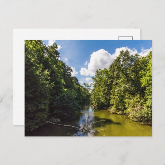 Mohican River im Sommer, Mohican Staat Park, Ohio Postkarte (Vorne/Hinten)