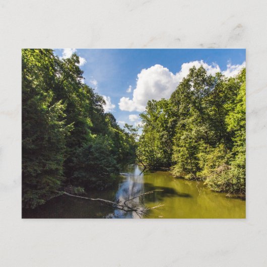 Mohican River im Sommer, Mohican Staat Park, Ohio Postkarte (Vorderseite)