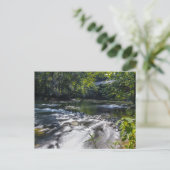 Mohican River im Sommer, Ohio Postkarte (Stehend Vorderseite)