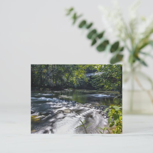 Mohican River im Sommer, Ohio Postkarte (Stehend Vorderseite)