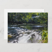 Mohican River im Sommer, Ohio Postkarte (Vorne/Hinten)