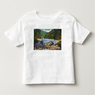 Mohikaner-Hinteransicht der kalten Fluss-Brücke Kleinkind T-shirt
