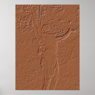 Mohikaner-Hinterstatue Poster