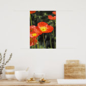 Mohn 1 poster (Küche)