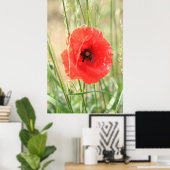 Mohn 2012 11 poster (Heimbüro)