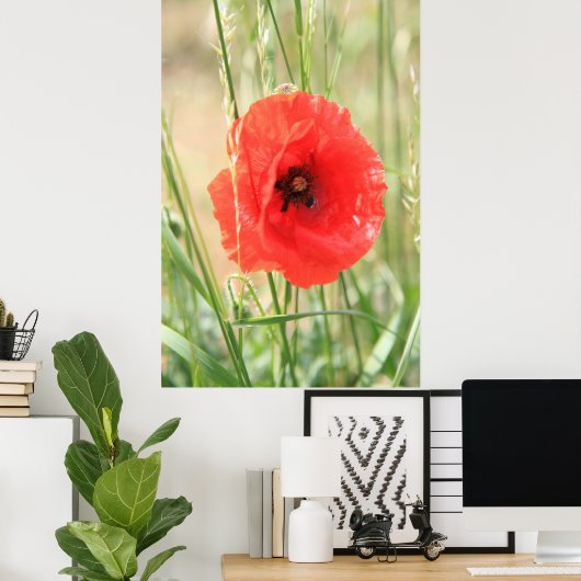 Mohn 2012 11 poster (Heimbüro)