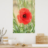 Mohn 2012 11 poster (Küche)