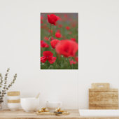Mohn 2012 27 poster (Küche)