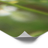 Mohn 2012 poster (Ecke)