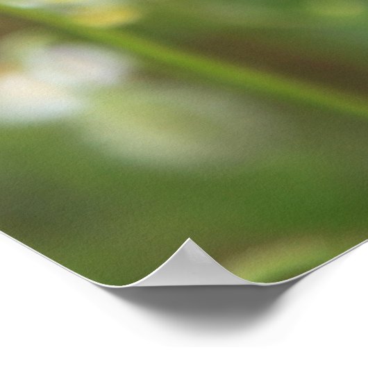 Mohn 2012 poster (Ecke)