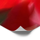 Mohn auf Feuer! Poster (Ecke)