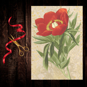 Mohn auf goldenem gepunktetem Damast Rot Gold Vint Seidenpapier