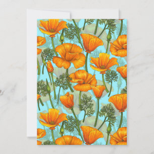 Mohn aus Kalifornien