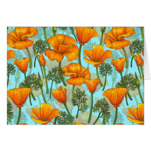 Mohn aus Kalifornien
