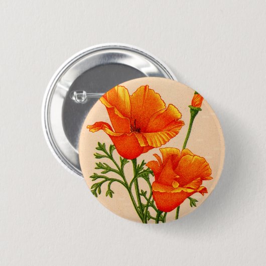 Mohn aus Kalifornien in Orange Button (Vorne & Hinten)