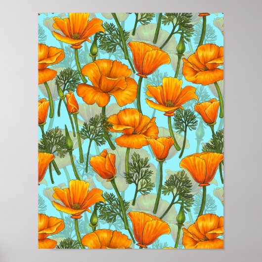 Mohn aus Kalifornien Poster (Vorne)