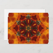 Mohn aus Kalifornien - Postkarte (Vorne/Hinten)