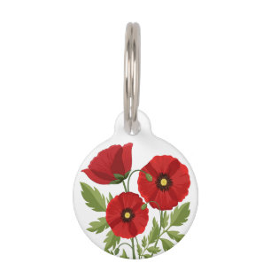 Mohn blüht fröhlich Sommer Blume Haustiermarke