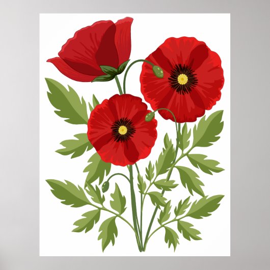Mohn blüht fröhlich Sommer Blume Poster (Vorne)