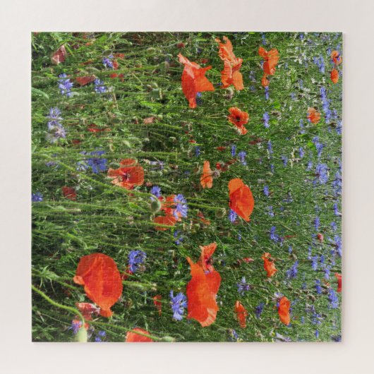 Mohn, Blume, Feld, Natur, Frühling, Hintergrund, Puzzle (Horizontal)