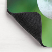 Mohn-Blume-Kopfsaat, Western Kap Mousepad (Ecke)